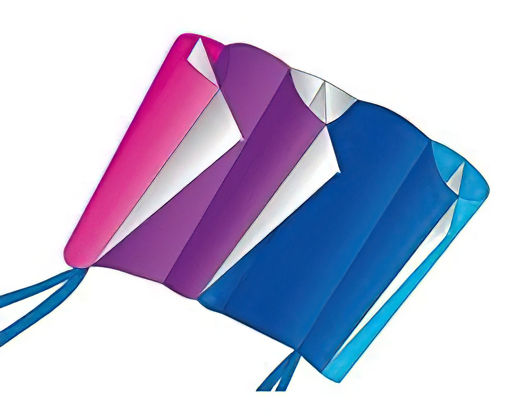X-Kites WindFoil Kites - stabloser Einleiner-Drachen/Kinderdrachen (1-Leiner) rtf (flugfertig) Cool Breeze 96 cm bunt